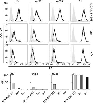 KANK2 Links αVβ5 Focal Adhesions to Microtubules and Regulates Sensitivity to Microtubule Poisons and Cell Migration